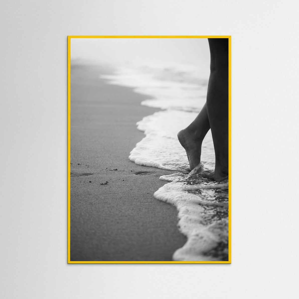 Yellow Wood Coastal Wanderer