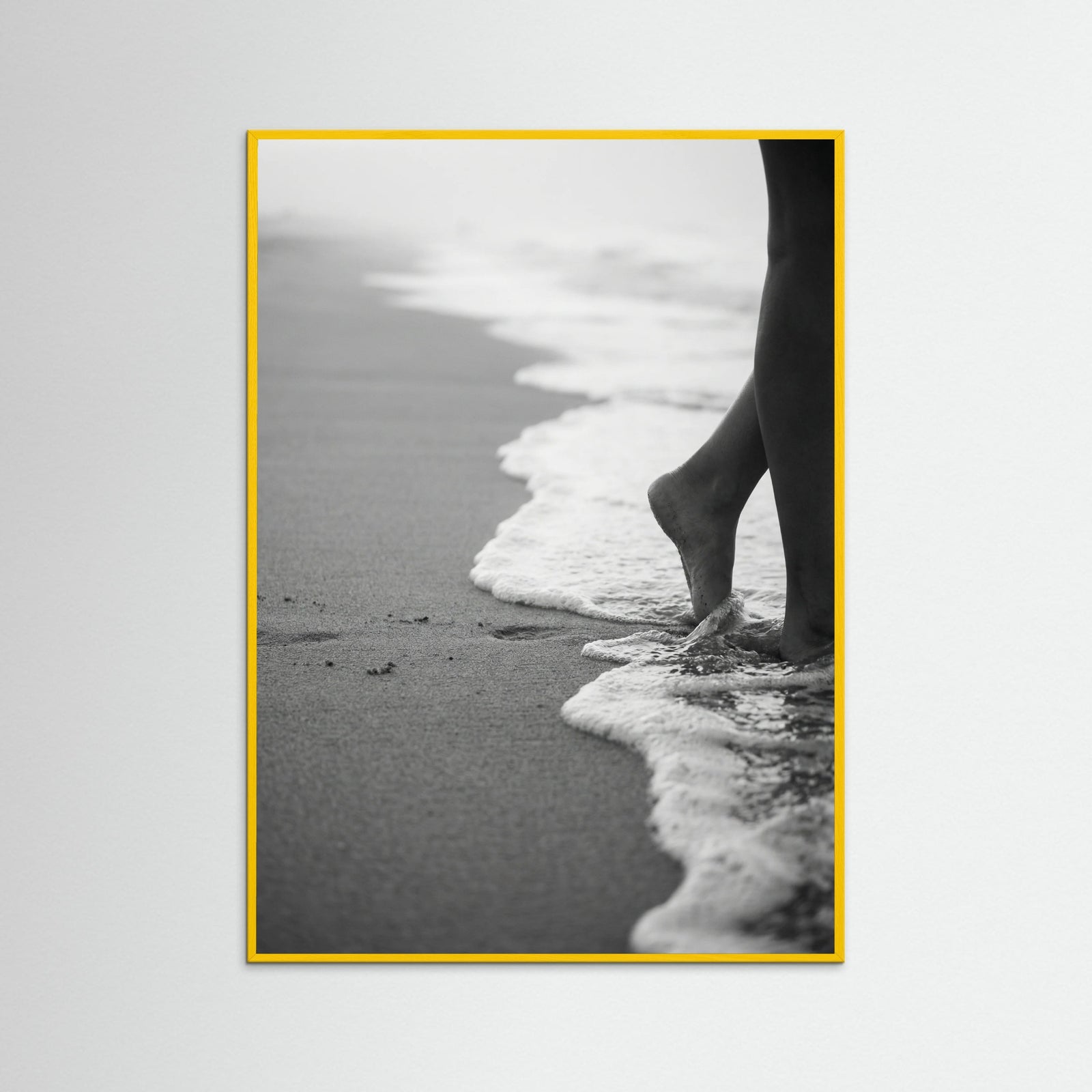 Yellow Wood Coastal Wanderer