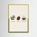 Yellow Wood Coffee Brew Guide