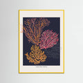 Affiche Coral Garden Careless Reef – affiche et impression d’art