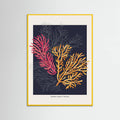 Affiche Coral Garden Paradise Garden – affiche et impression d’art
