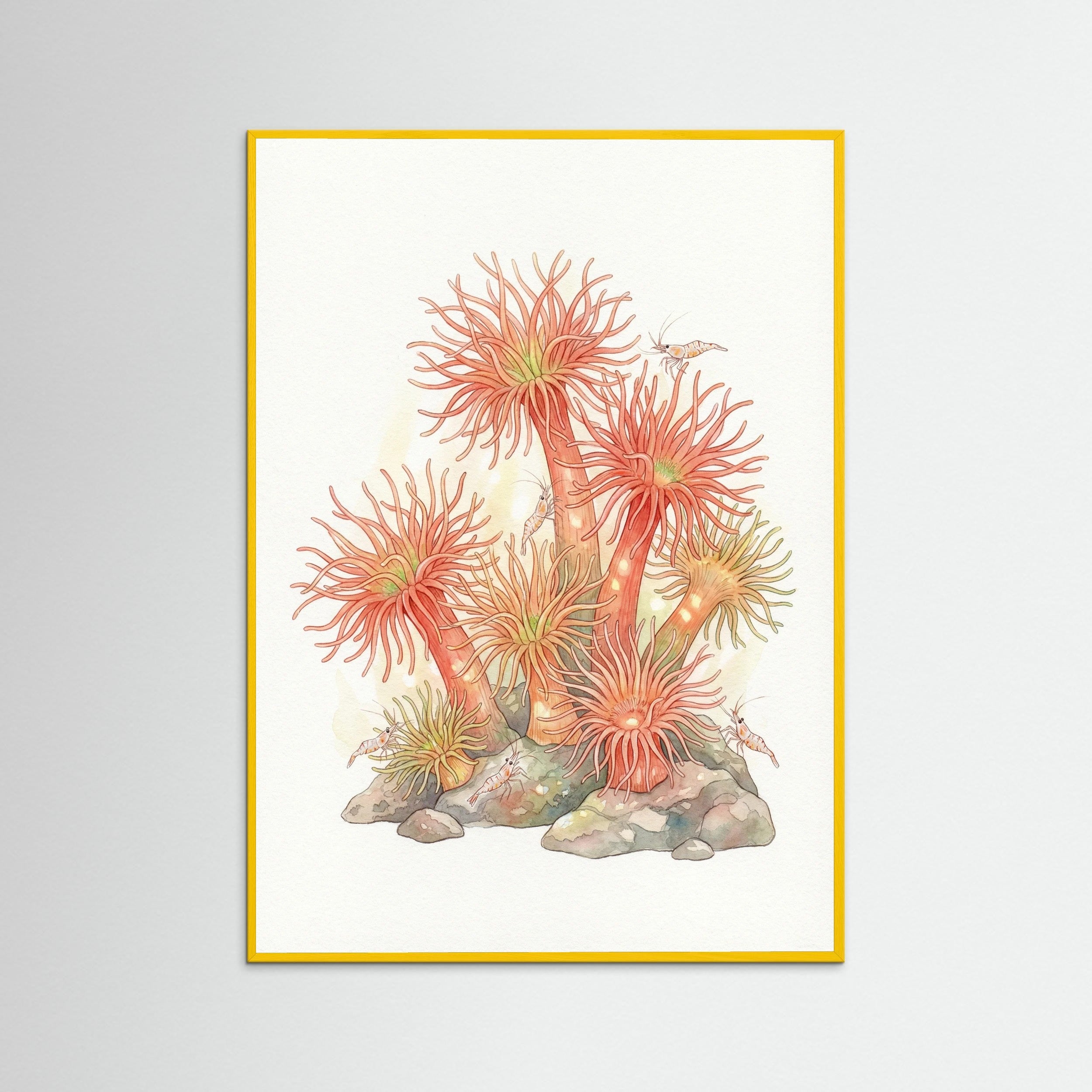 Yellow Wood Coral Reef Dance