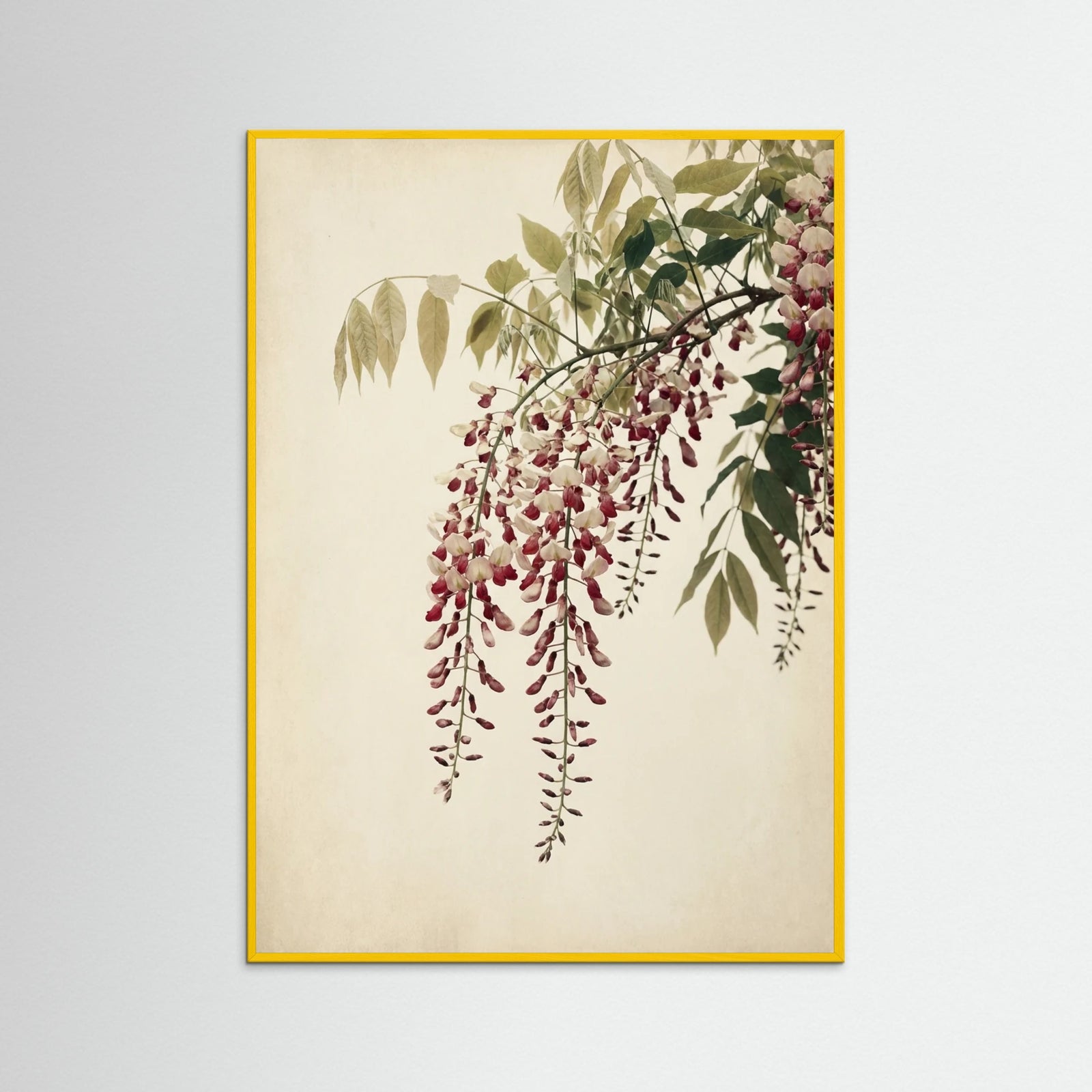 Yellow Wood Crimson Bloom
