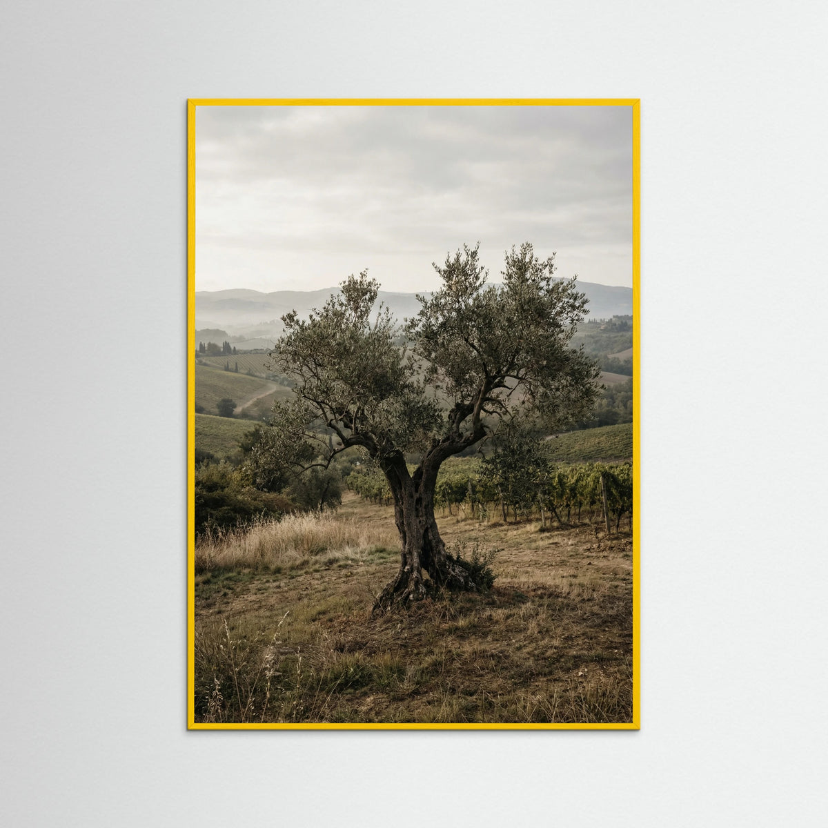 Yellow Wood Cypress Path
