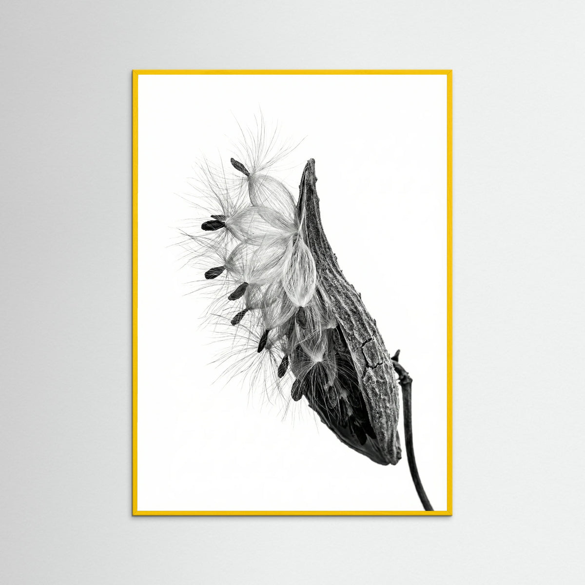 Yellow Wood Dandelion Flight