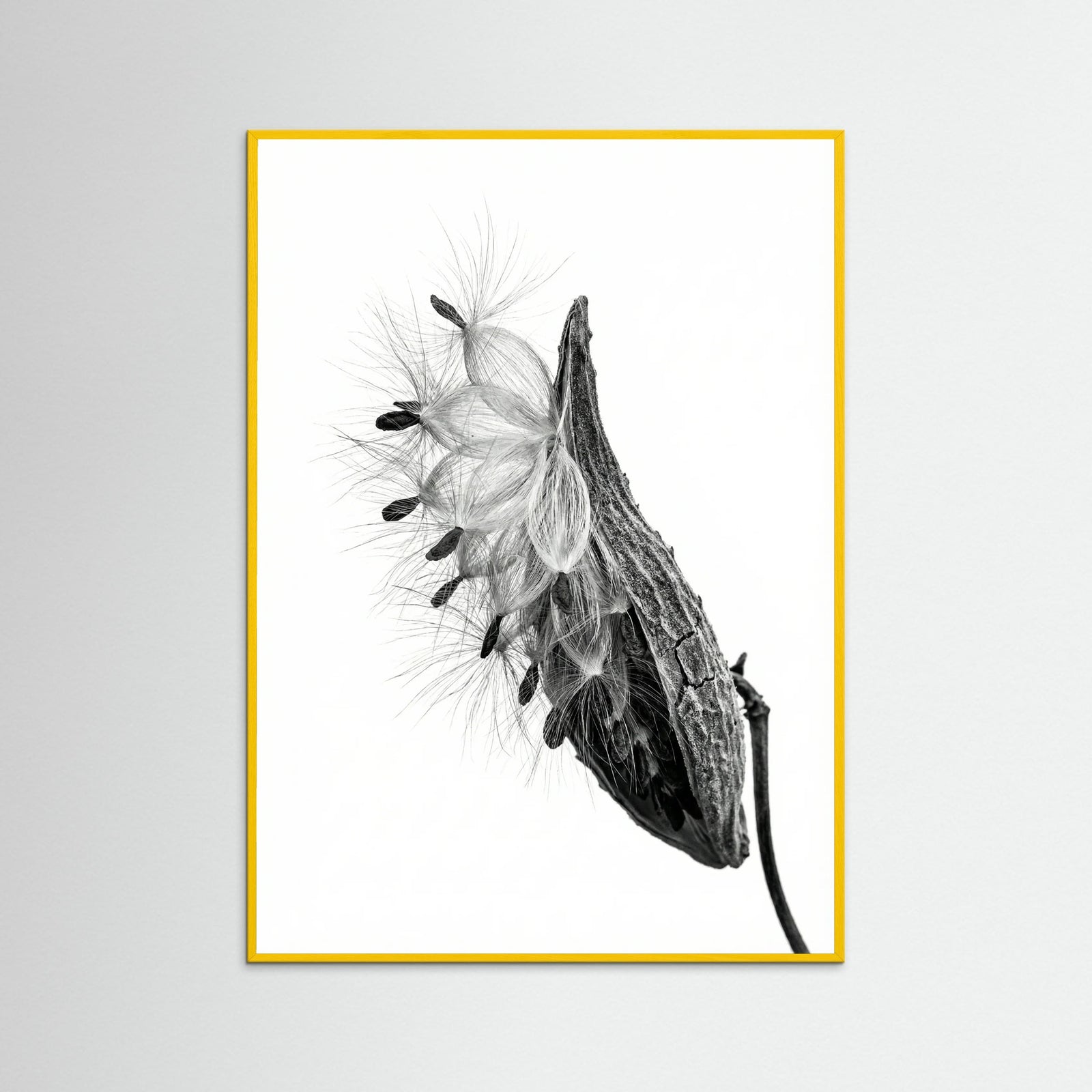Yellow Wood Dandelion Flight