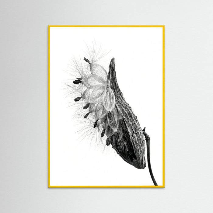 Yellow Wood Dandelion Flight