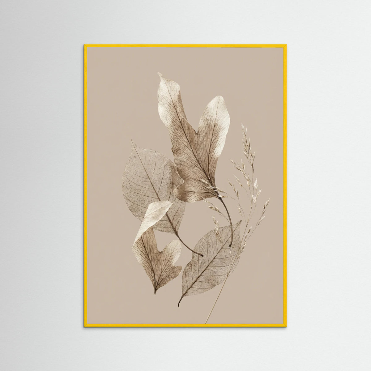 Yellow Wood Desert Bloom