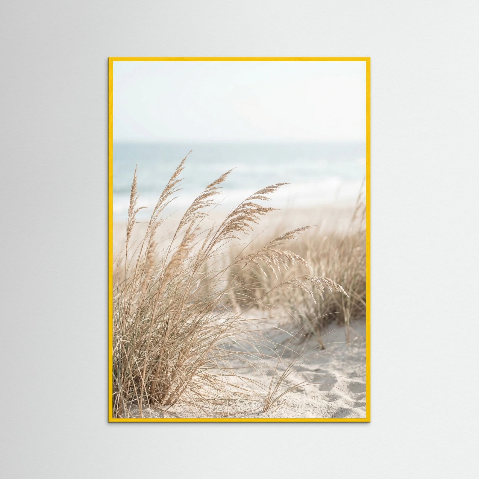 Yellow Wood Dune Path Serenity