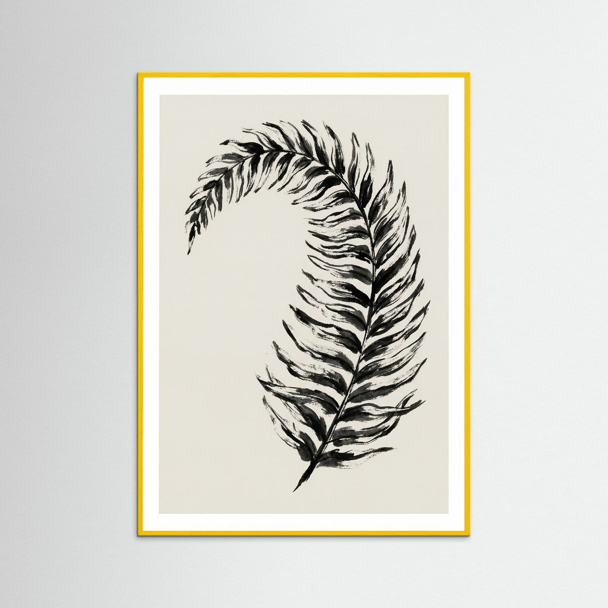 Yellow Wood Ebony Bloom