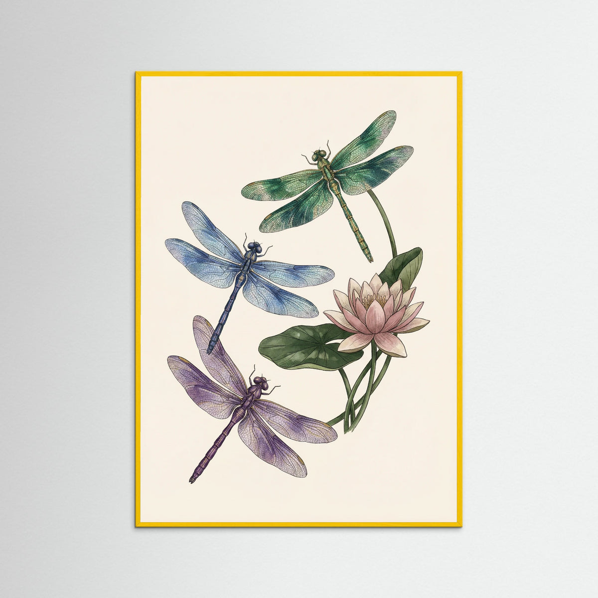 Yellow Wood Elegant Entomology