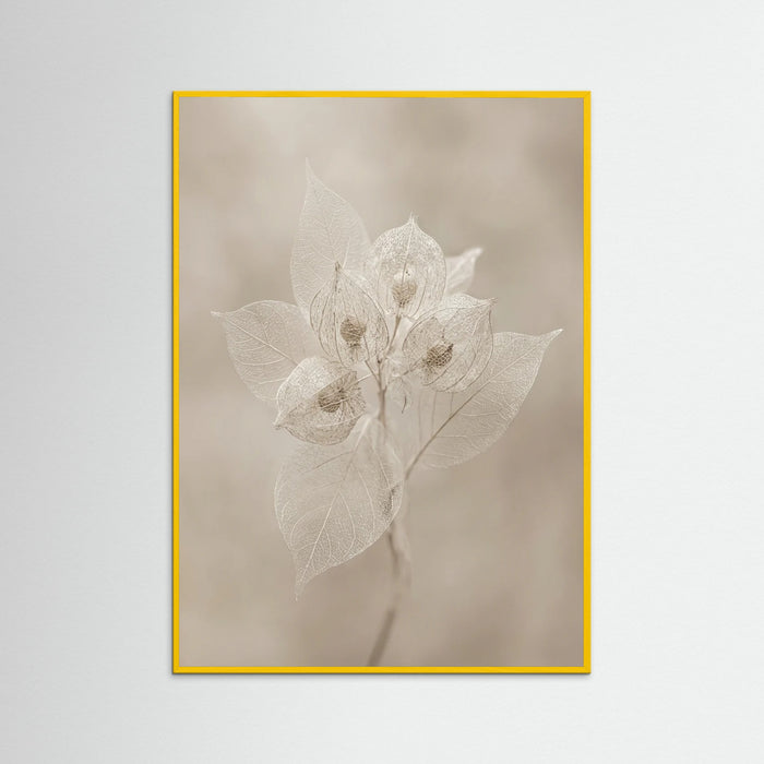 Yellow Wood Ephemeral Bloom