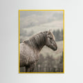 Yellow Wood Equine Companions