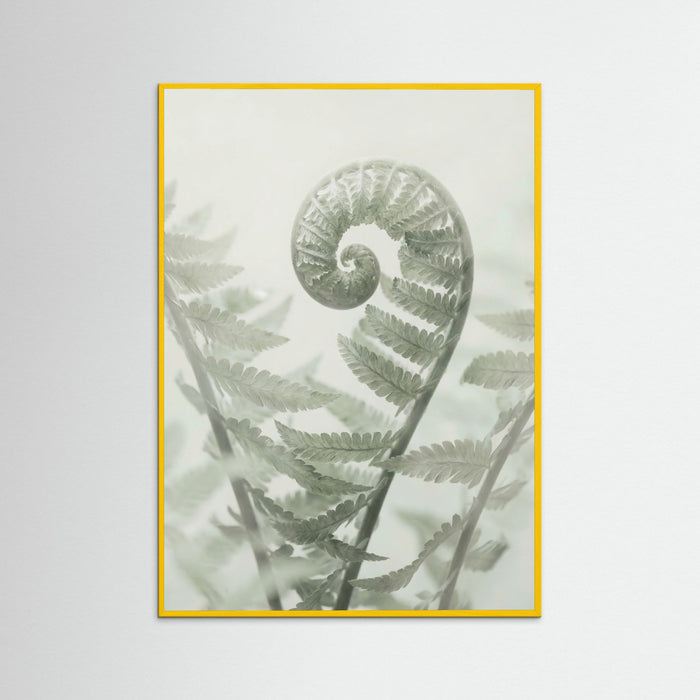 Yellow Wood Ethereal Eucalyptus
