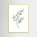 Yellow Wood Eucalyptus Serenity