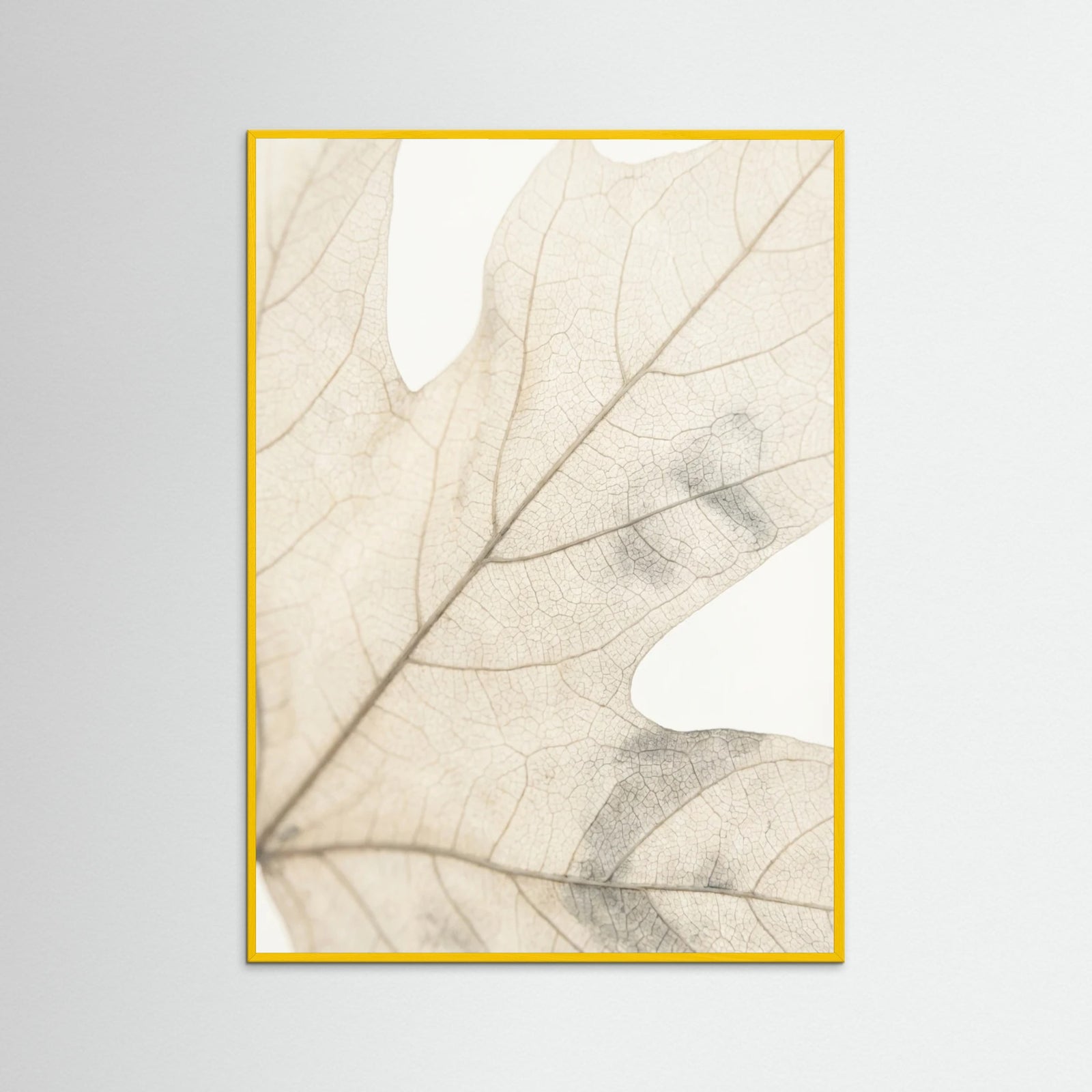 Yellow Wood Faded Petals
