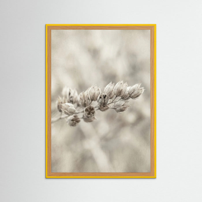 Yellow Wood Faded Whisper