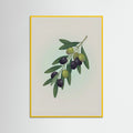 Yellow Wood Fig Branch in Vase