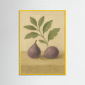 Yellow Wood Fig study
