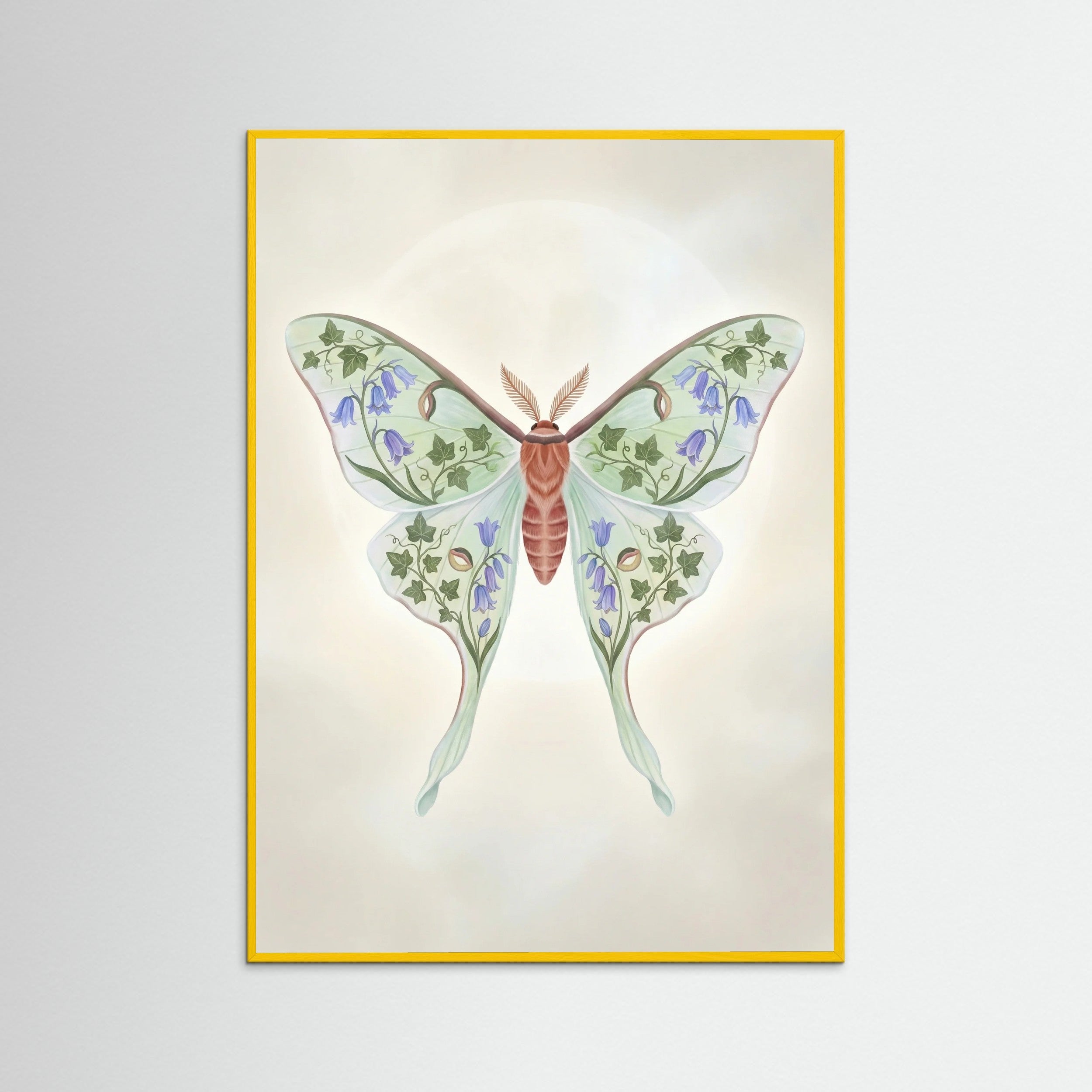 Yellow Wood Floral Moth Study