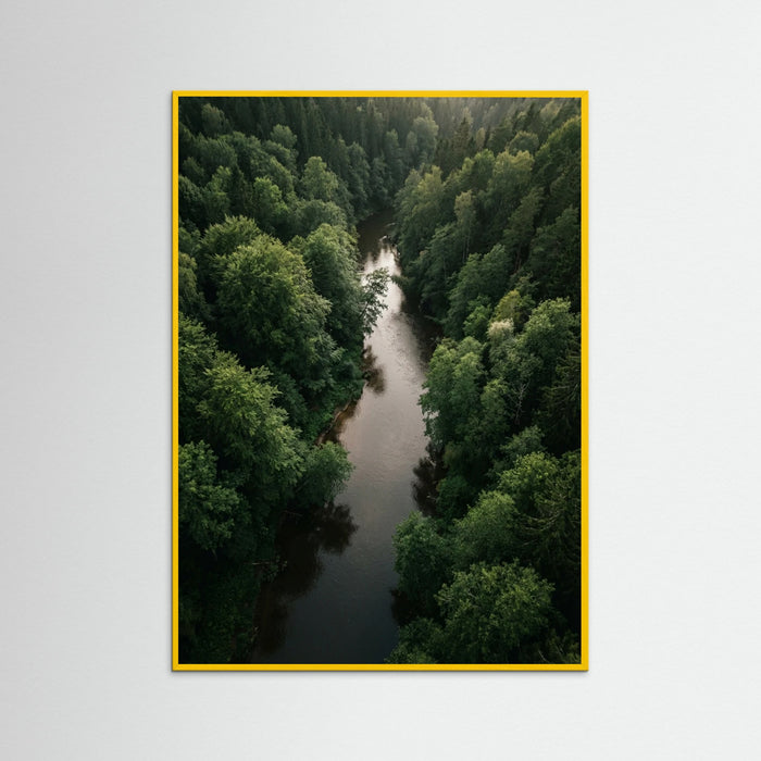 Yellow Wood Forest Traverse