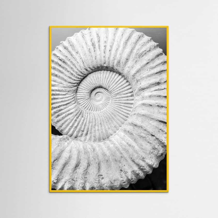 Poster Formula – poster e stampa artistica