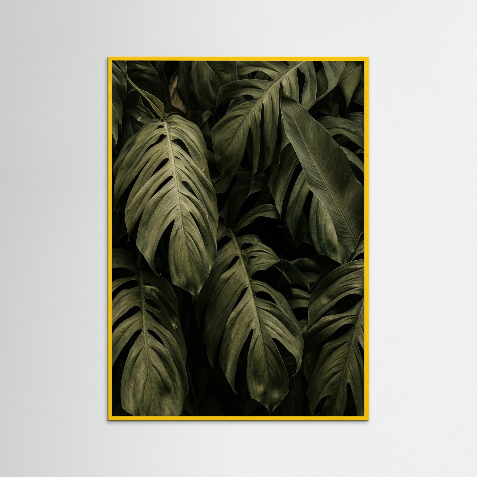 Yellow Wood Frond Shadows