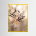 Yellow Wood Frosted Serenity
