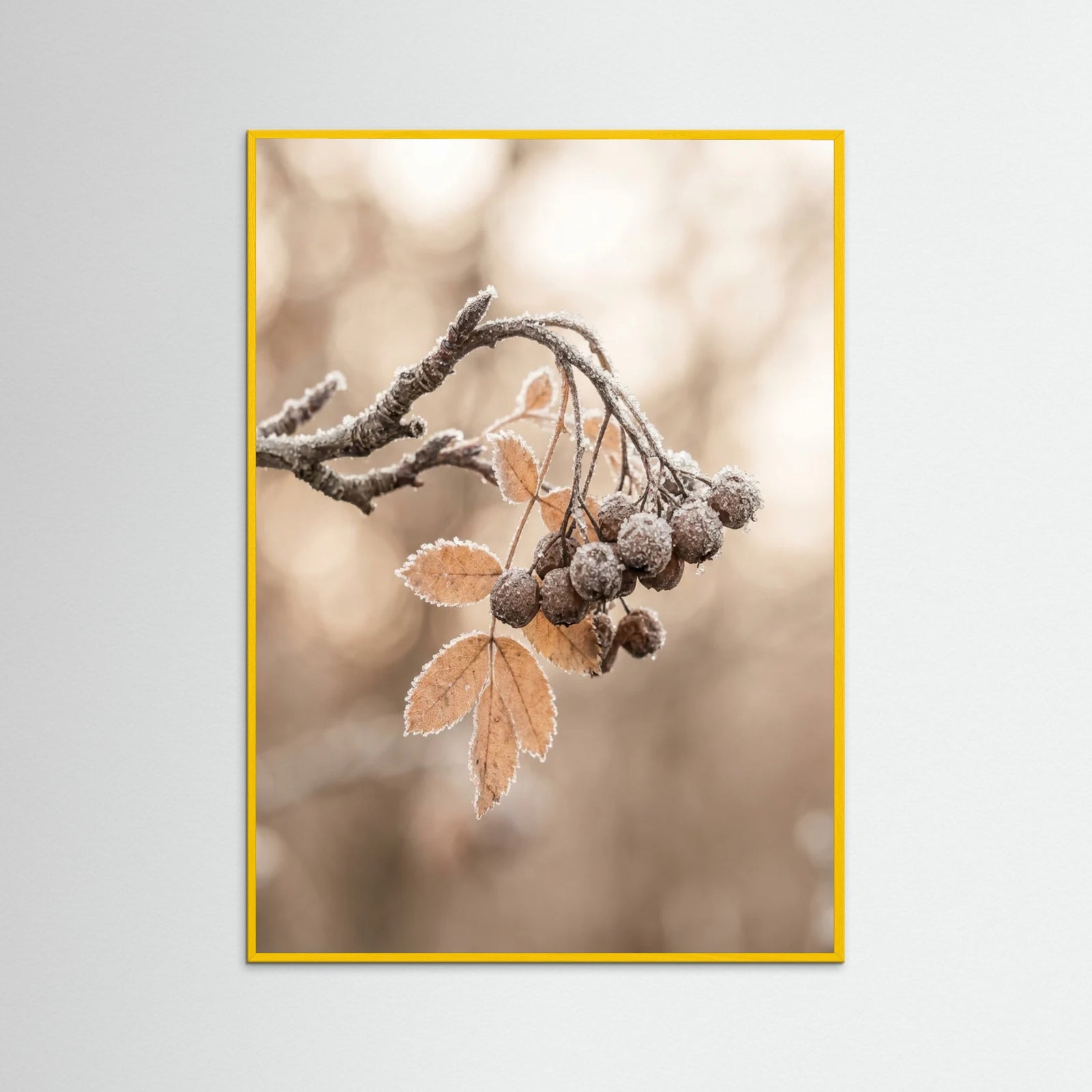 Yellow Wood Frosted Serenity