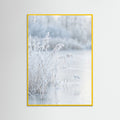 Yellow Wood Frozen Reflections