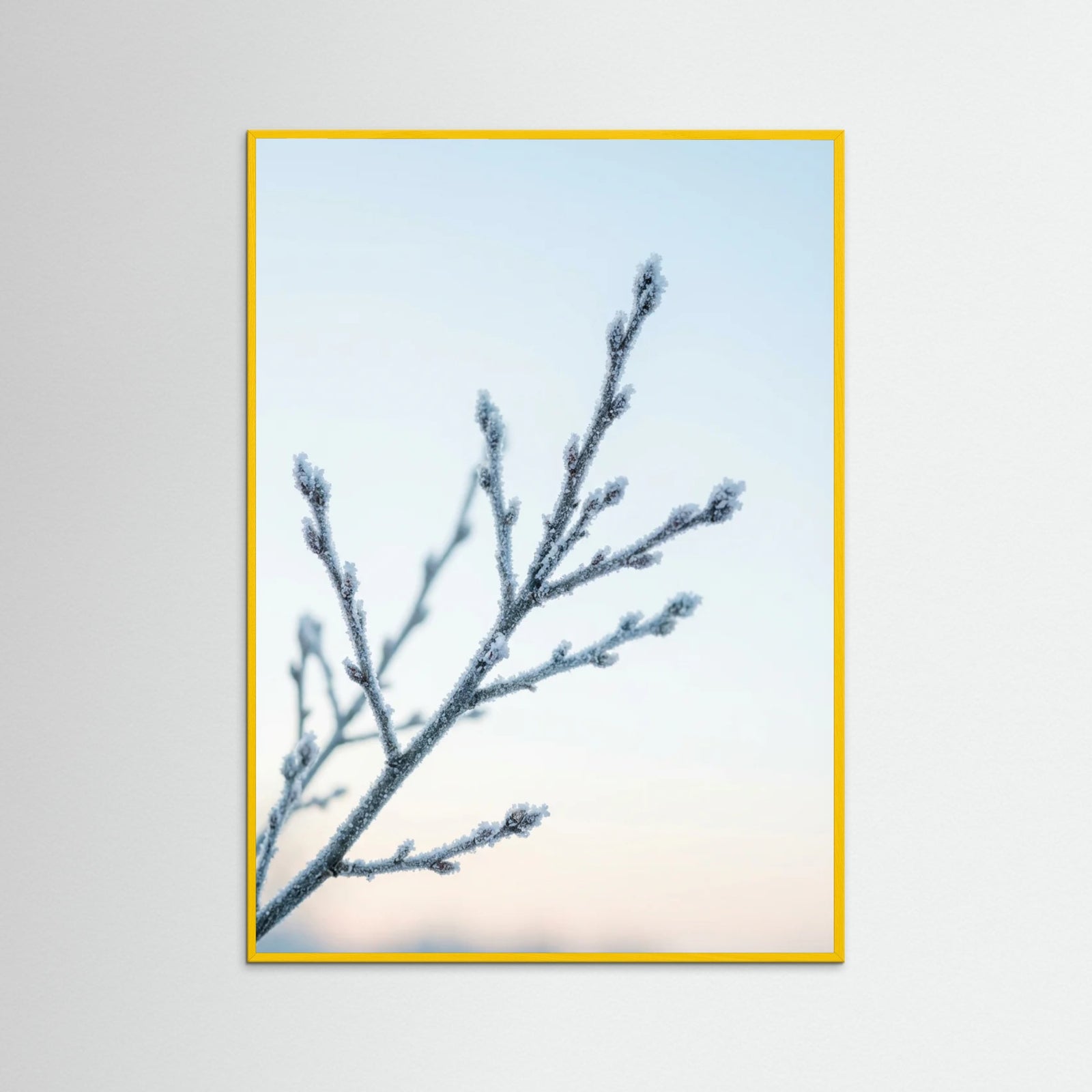 Yellow Wood Frozen Whisper