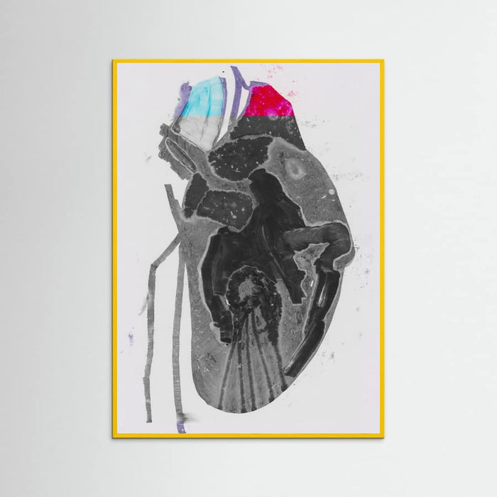 Plakat Genomsnitt – plakat i druk artystyczny