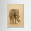Yellow Wood Gentle Giant