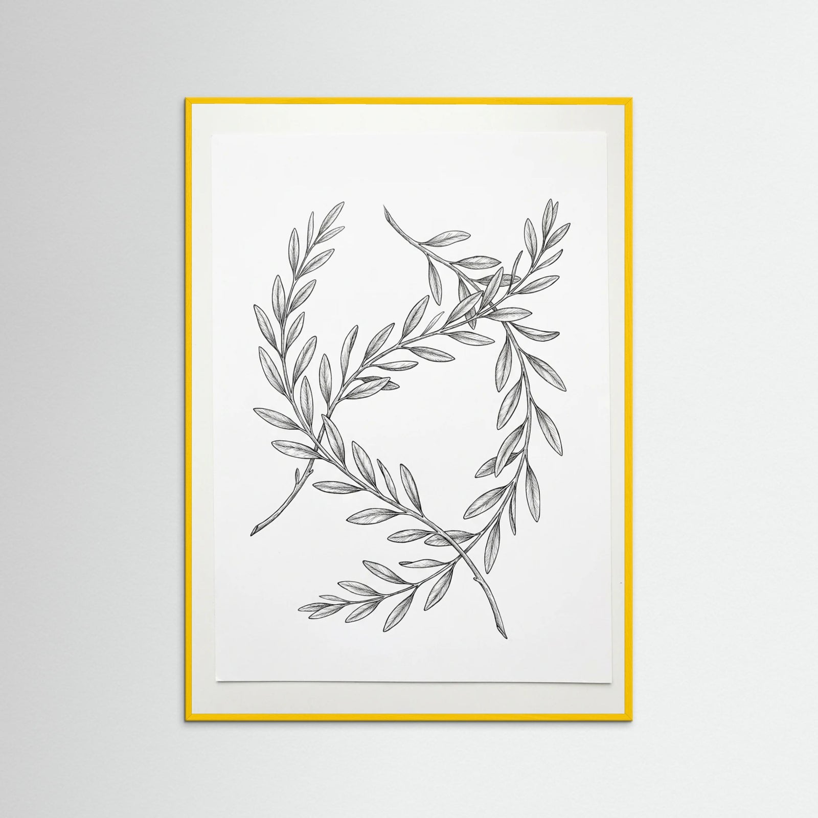 Yellow Wood Ginkgo Grace