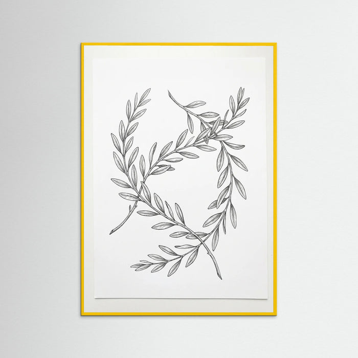 Yellow Wood Ginkgo Grace