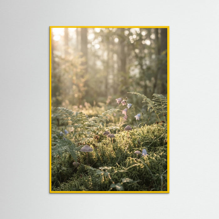 Yellow Wood Golden Hour Serenity