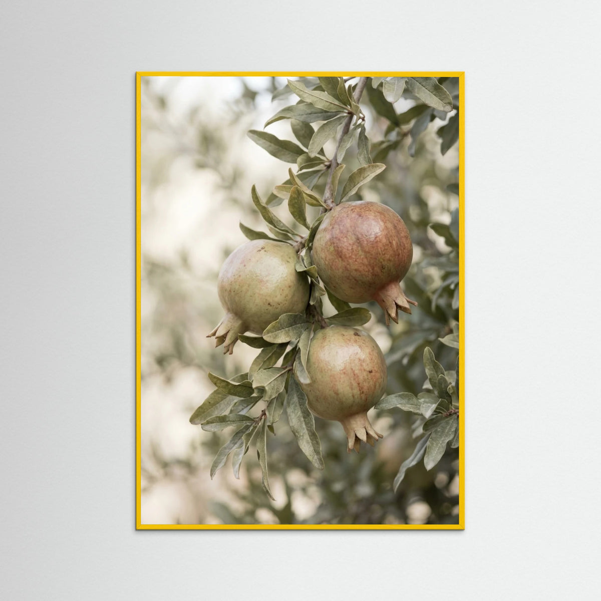 Yellow Wood Green Olives