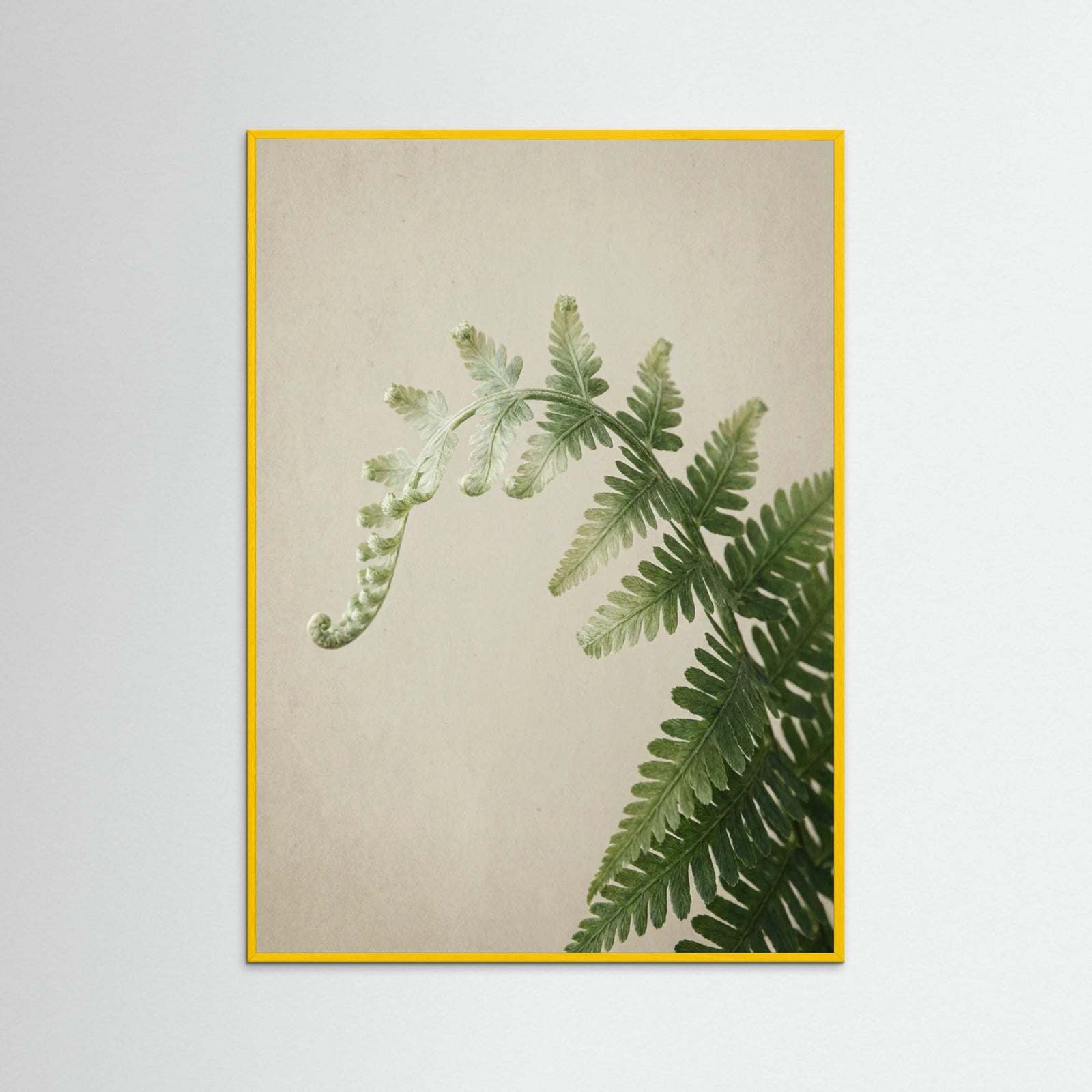 Yellow Wood Green Serenity