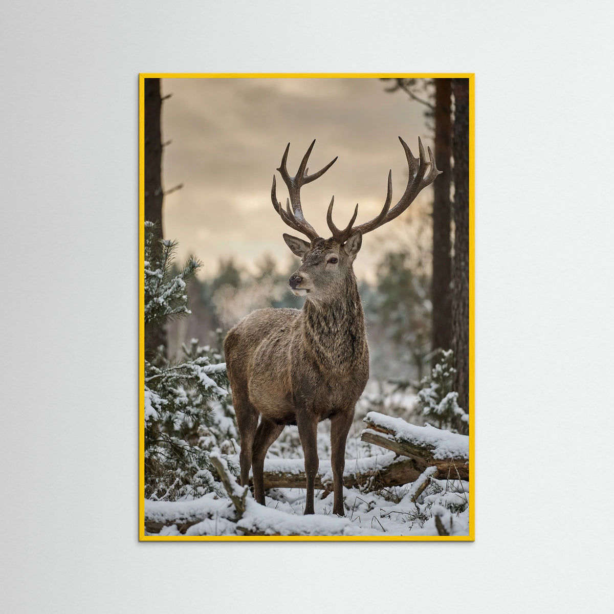 Yellow Wood Highland Winter