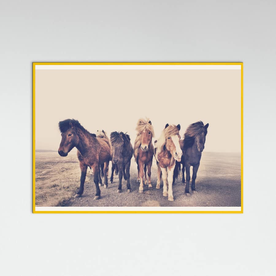Poster Horses – poster e stampa artistica