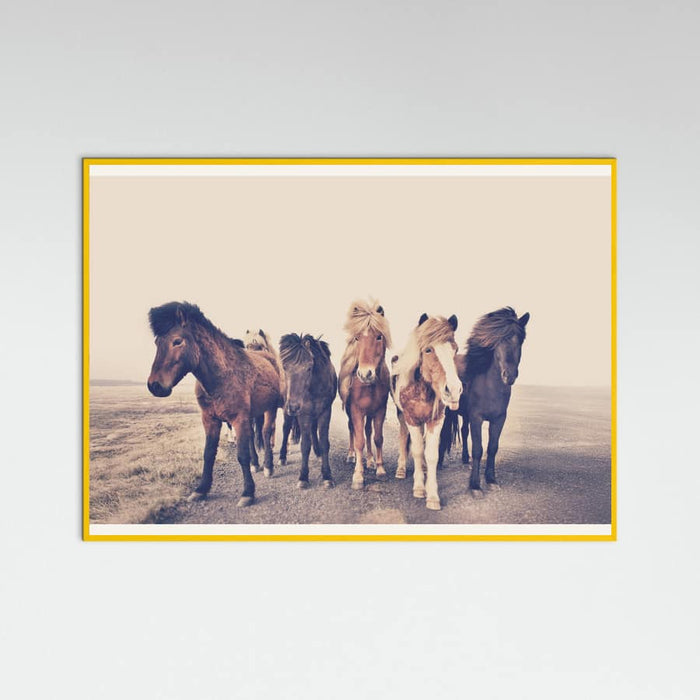 Poster Horses – poster e stampa artistica