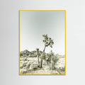 Yellow Wood Joshua Tree National Park Vintage Impression Poster