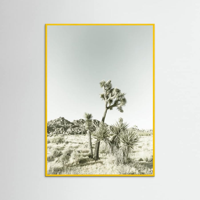 Yellow Wood Joshua Tree National Park Vintage Impression Poster