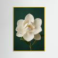 Yellow Wood Lilac Iris Bloom