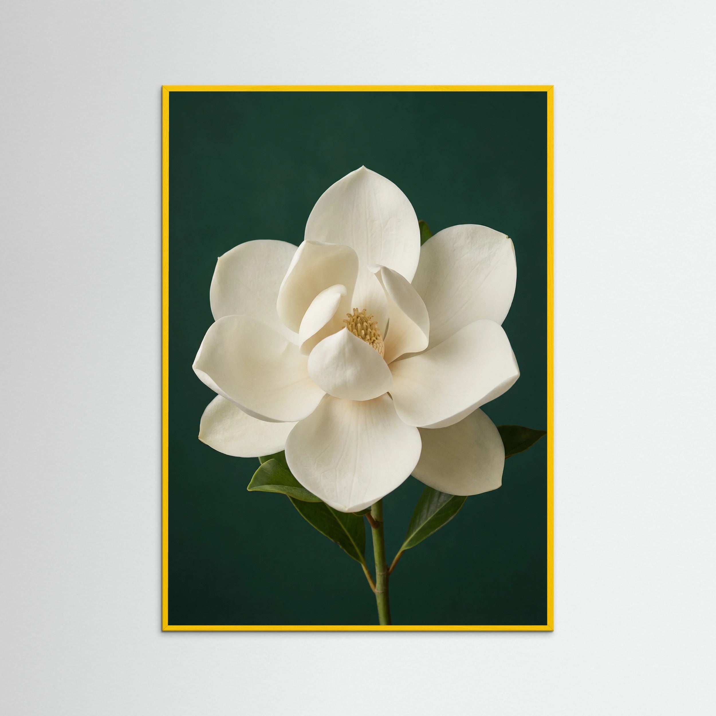 Yellow Wood Lilac Iris Bloom