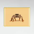 Yellow Wood Lydia the Leggiest Cowgirl Spider Poster