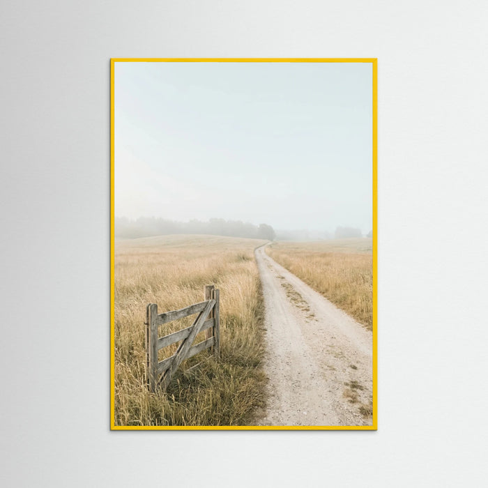 Yellow Wood Misty Coastal Path