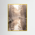 Yellow Wood Misty Dawn Reflection