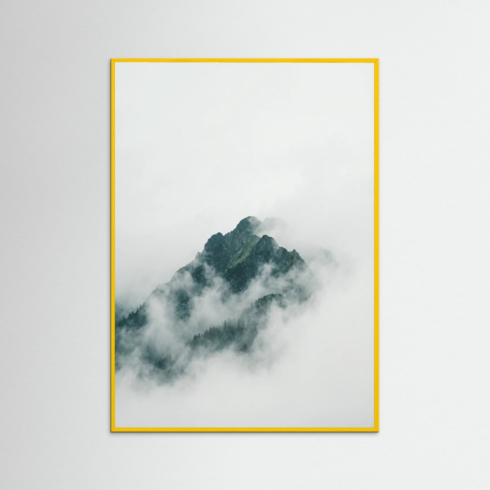 Yellow Wood Misty Forest Canopy