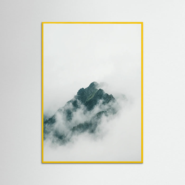 Yellow Wood Misty Forest Canopy